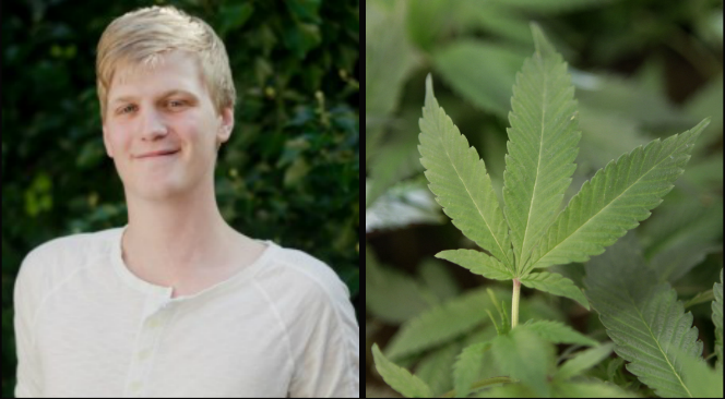 Cannabis, CUF, Centerpartiet, Avkriminalisering, Centerpartiets ungdomsförbund